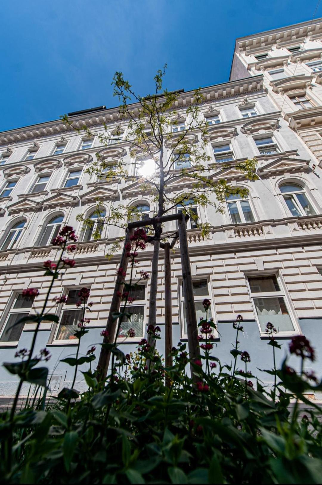 Vienna My City Apartment 1 Bedroom Eksteriør billede