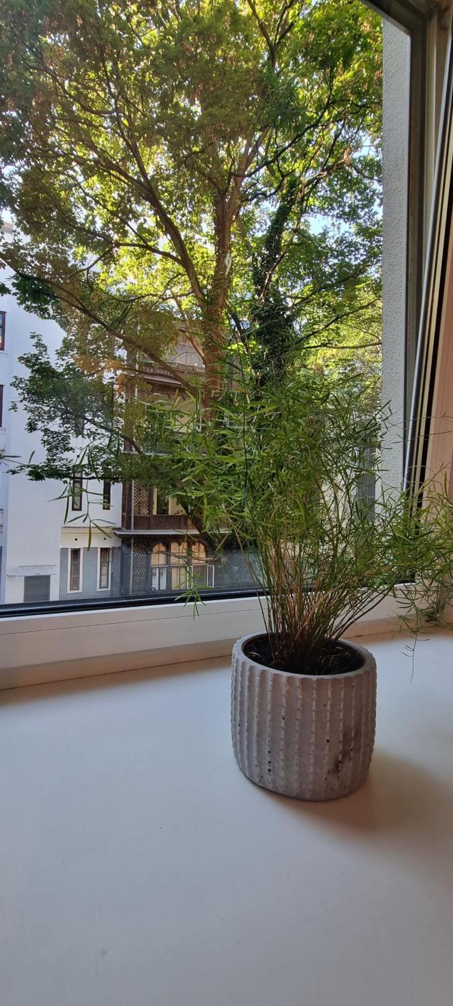 Vienna My City Apartment 1 Bedroom Eksteriør billede
